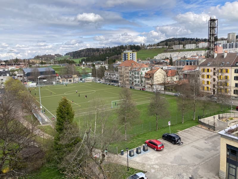 Appartement 2 pièces rénové avec vue, calme et bien situé à La Chaux-de-Fonds (2)