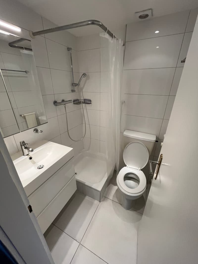 Appartement 2 pièces rénové avec vue, calme et bien situé à La Chaux-de-Fonds (9)