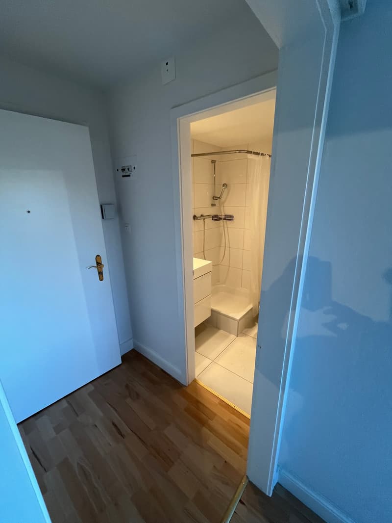 Appartement 2 pièces rénové avec vue, calme et bien situé à La Chaux-de-Fonds (8)