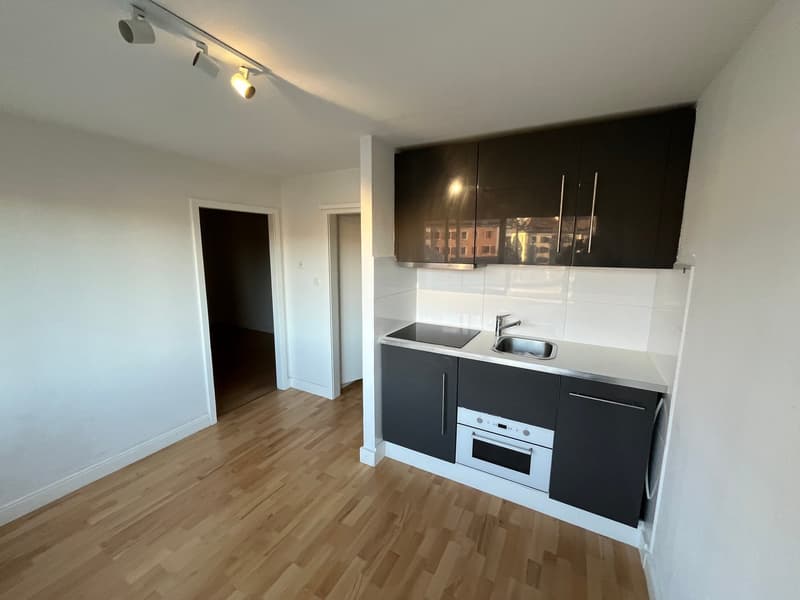 Appartement 2 pièces rénové avec vue, calme et bien situé à La Chaux-de-Fonds (1)