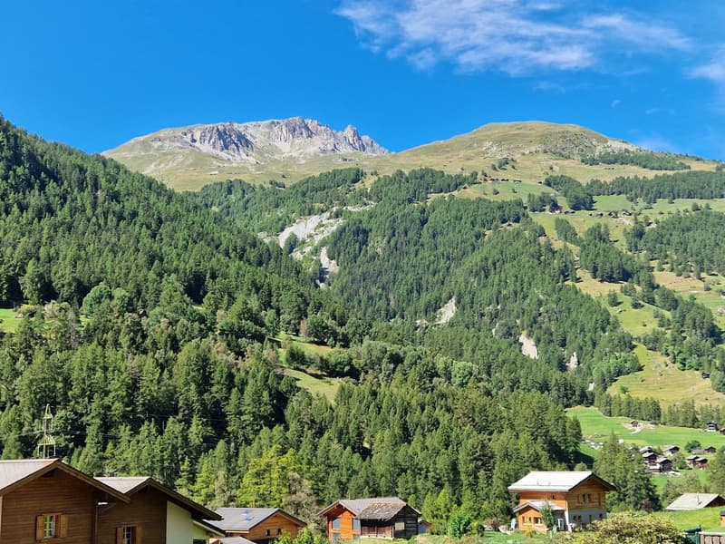 Mountain range with houses in the foreground, forest, and open areas