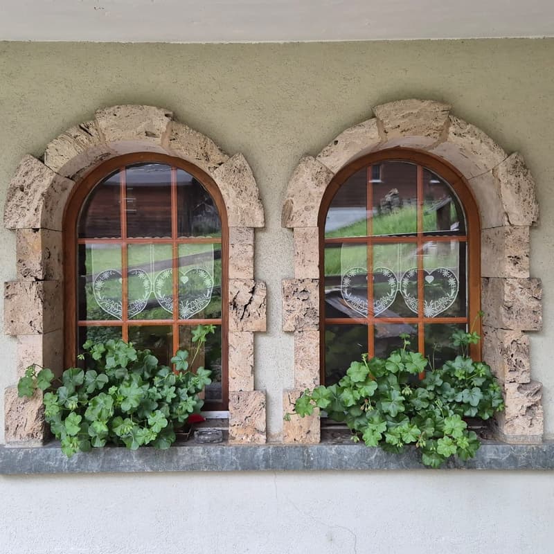 stone window frames with a window sill, plants, view of the outside