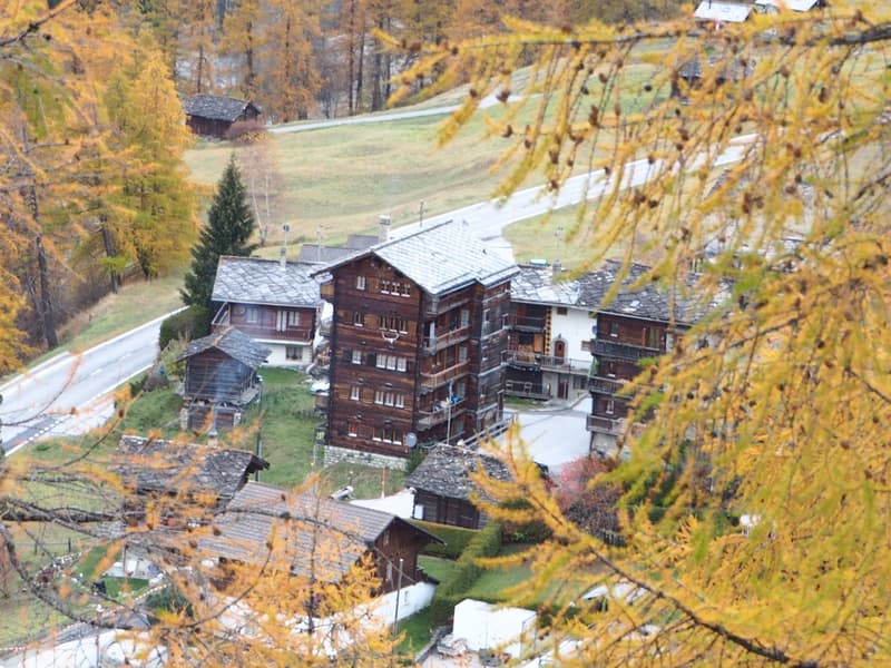 Wooden houses, multiple floors, surrounded by trees, mountain view