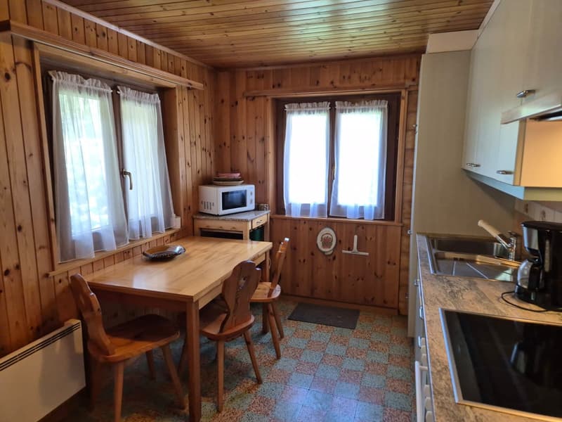 Charmant appartement en attique - Vue spectaculaire - 90 m2 - Evolène (3)