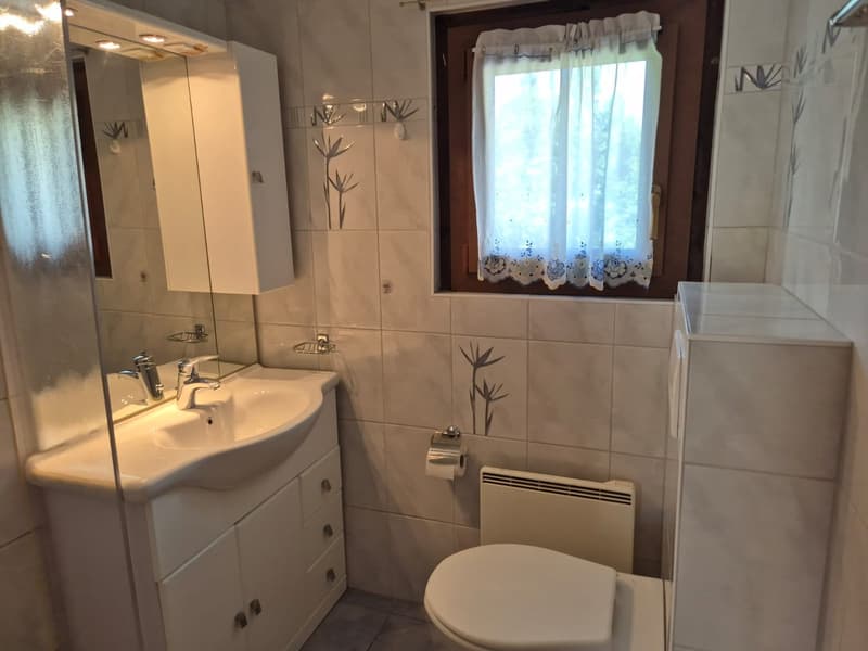 Charmant appartement en attique - Vue spectaculaire - 90 m2 - Evolène (7)