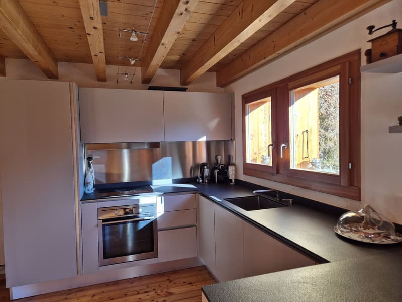 Chalet avec vue panoramique imprenable - Tranquillité - Ensoleillement - Résidence principale (10)
