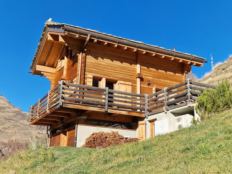 Chalet avec vue panoramique imprenable - Tranquillité - Ensoleillement - Résidence principale (4)