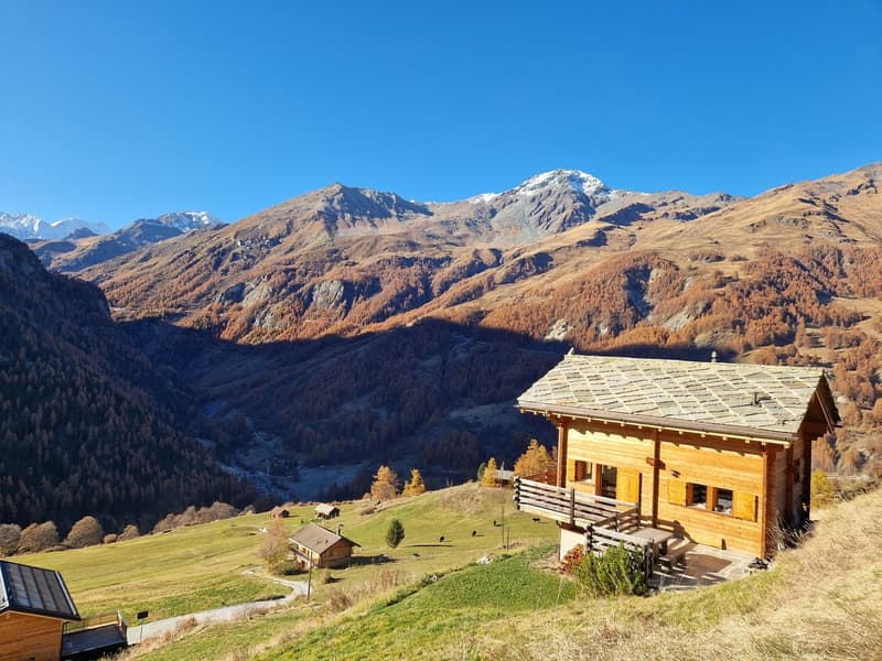 Chalet avec vue panoramique imprenable - Tranquillité - Ensoleillement - Résidence principale (2)