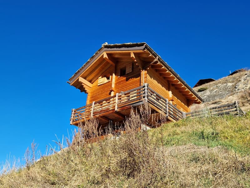 Chalet avec vue panoramique imprenable - Tranquillité - Ensoleillement - Résidence principale (3)