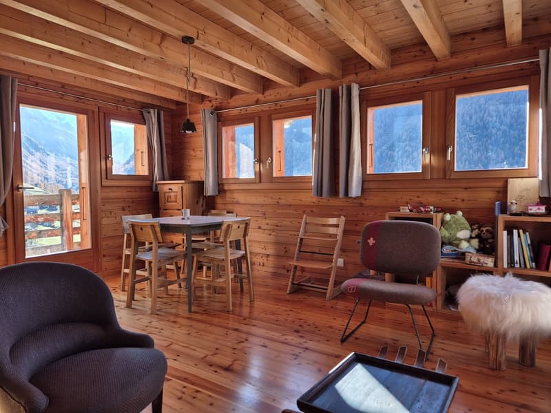Chalet avec vue panoramique imprenable - Tranquillité - Ensoleillement - Résidence principale (11)