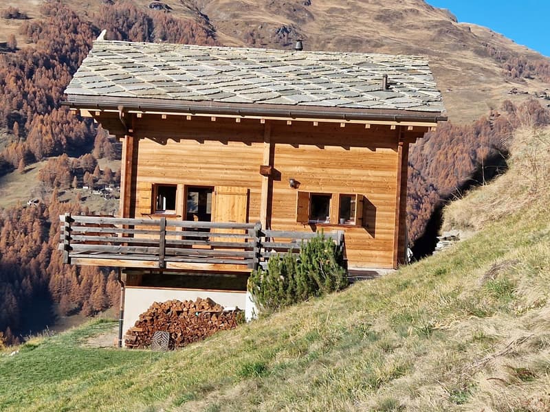 Chalet avec vue panoramique imprenable - Tranquillité - Ensoleillement - Résidence principale (5)