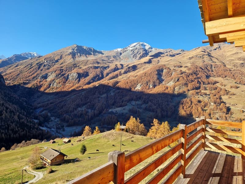 Chalet avec vue panoramique imprenable - Tranquillité - Ensoleillement - Résidence principale (14)