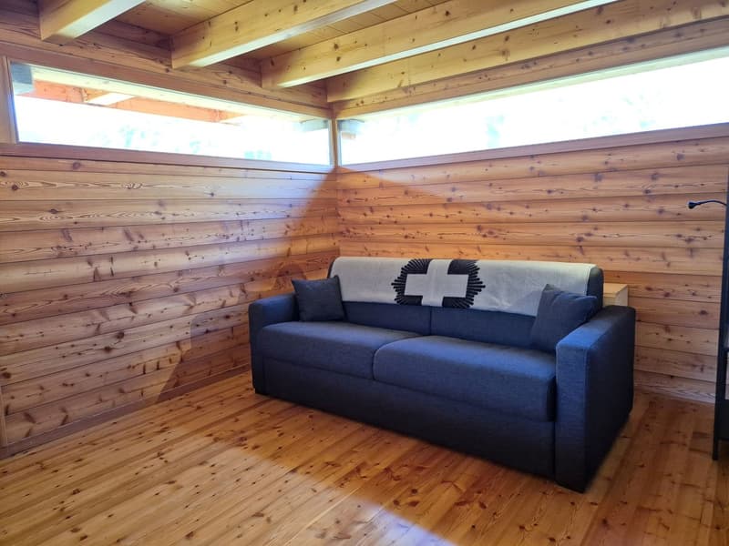 Chalet avec vue panoramique imprenable - Tranquillité - Ensoleillement - Résidence principale (8)