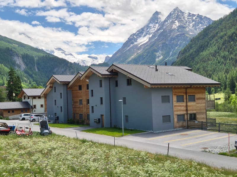 Charmant appartement de 3,5 pièces - Résidence principale - Evolène (3)