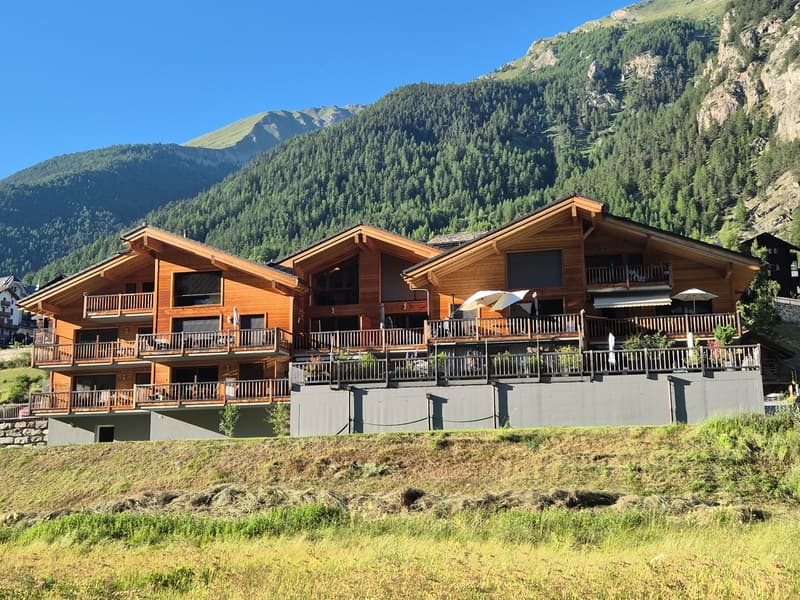 Charmant appartement de 3,5 pièces - Résidence principale - Evolène (1)