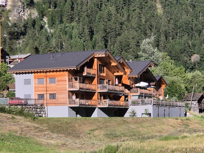 Charmant appartement de 3,5 pièces - Résidence principale - Evolène (2)