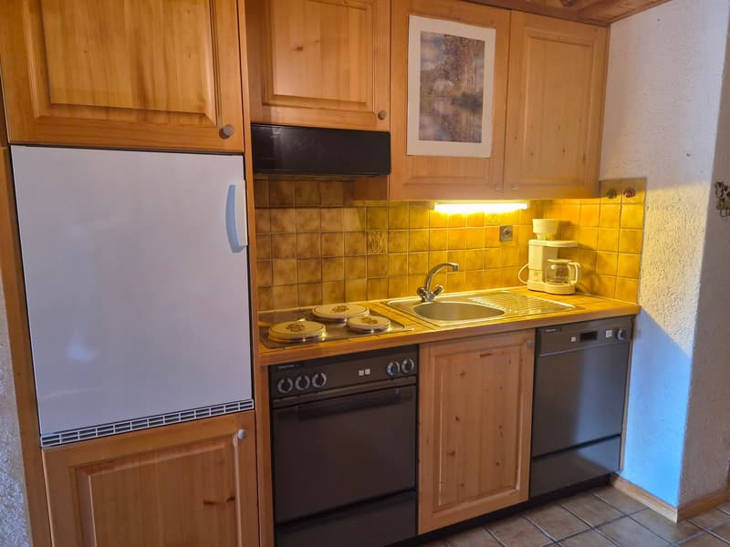 Studio en attique dans bâtiment historique - Evolène - 60 m2 (2)