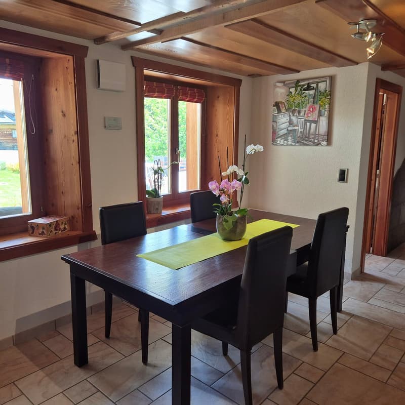 Propriété unique avec habitation atypique - Evolène (4)