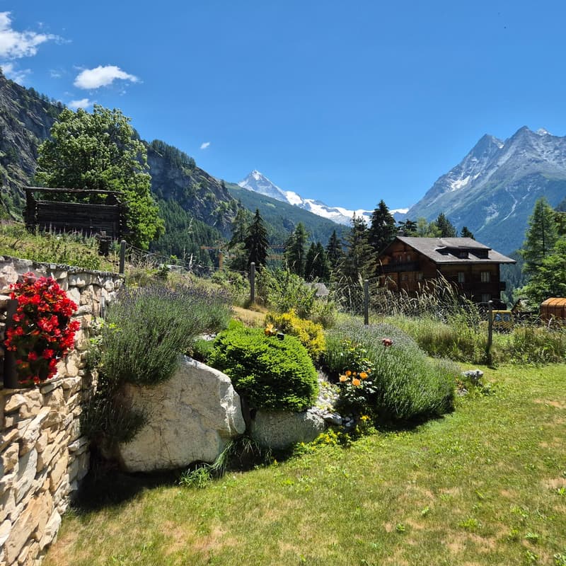 Propriété unique avec habitation atypique - Evolène (11)
