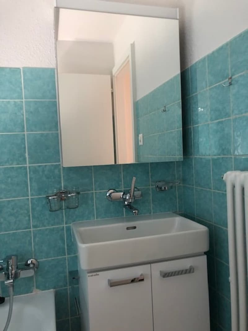 Charmant appartement de 4 pièces (6)