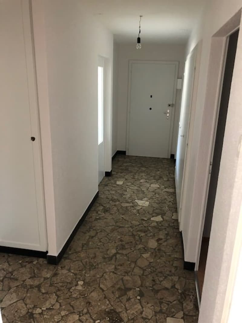 Charmant appartement de 4 pièces (4)