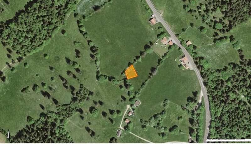 A VENDRE - Villa/Chalet sur plans - (à deux pas de la Vue des Alpes) (3)