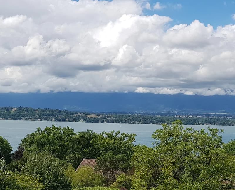 Villa avec vue lac exclusive (1)