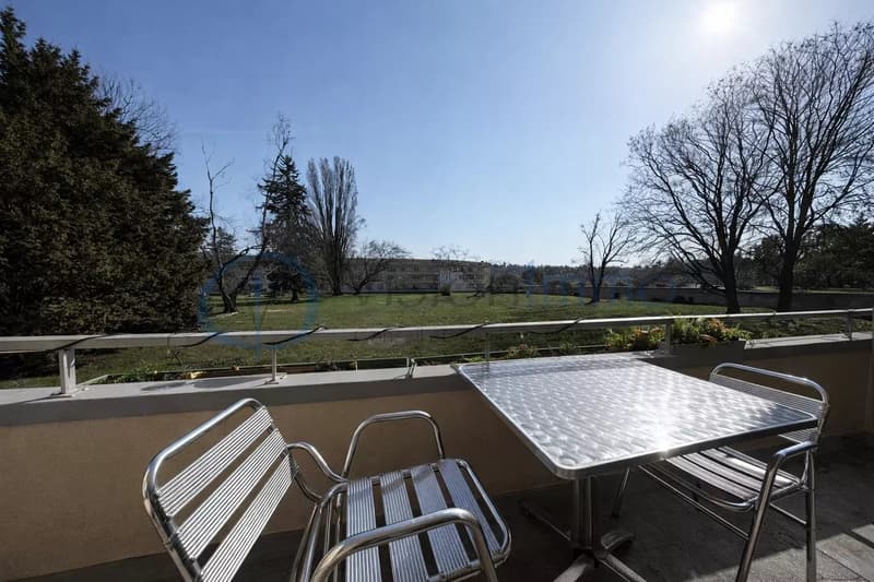 Versoix - Investissement sécurisé dans un cadre verdoyant, rendement immédiat (6)