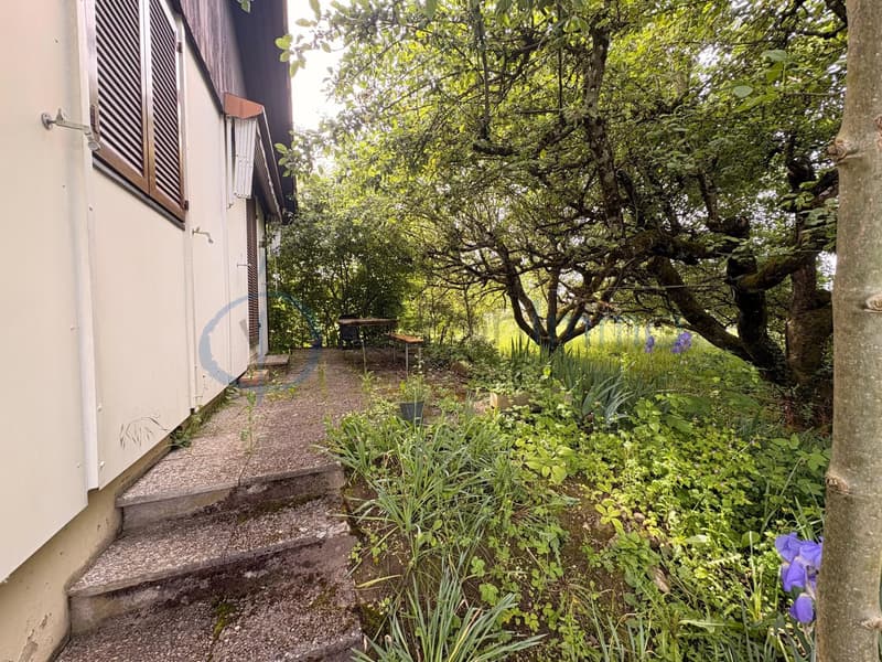 MAISON INDIVIDUELLE À RÉNOVER ? FORT POTENTIEL SUR GRANDE PARCELLE EN ZONE AGRICOLE (4)