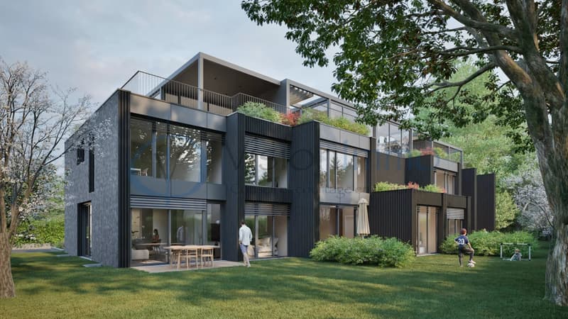 Vessy - Townhouse contemporaine avec jardin et Rooftop (1)