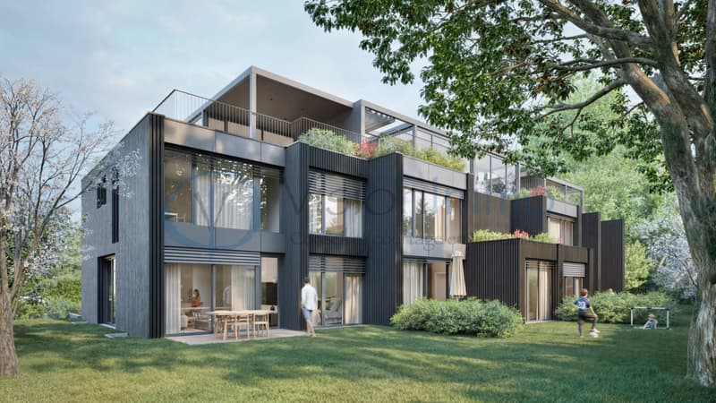 Vessy - Townhouse contemporaine avec jardin et Rooftop (3)