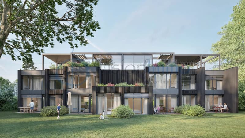 Vessy - Townhouse contemporaine avec jardin et Rooftop (2)