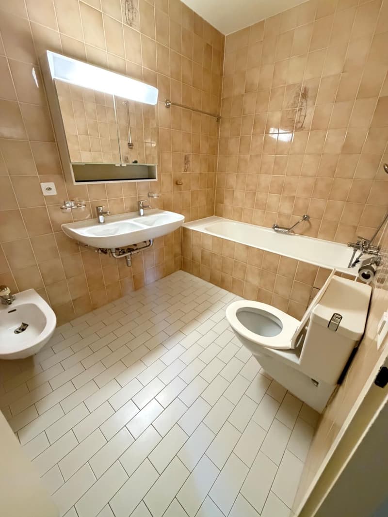 Dans le quartier des organisations internationales - Spacieux appartement de 5 pièces (5)