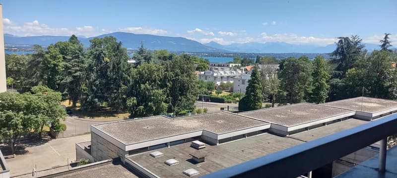 VERSOIX - Bel appartement de 4,5 pièces au 5ème étage avec balcon (3)