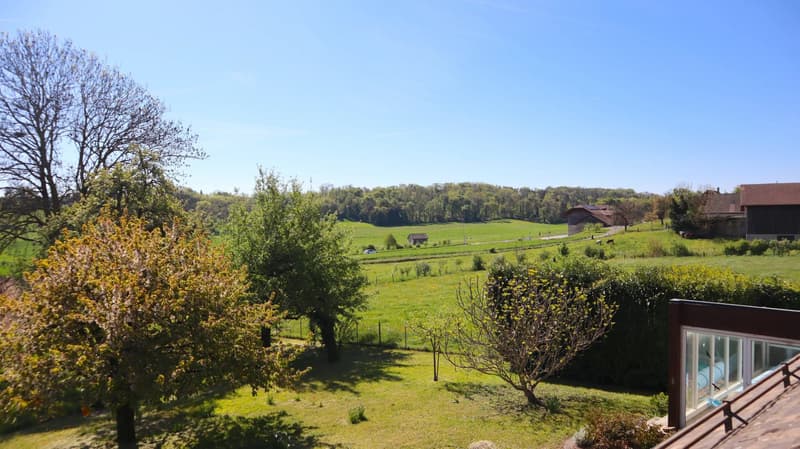 Villa familiale de 5.5 pièces à Agiez avec piscine (3)