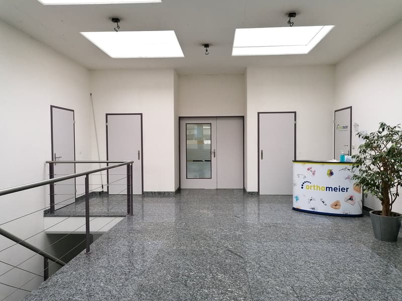 spacious corridor, white walls, gray flooring, overhead lights, multiple doors, reception desk, potted plant