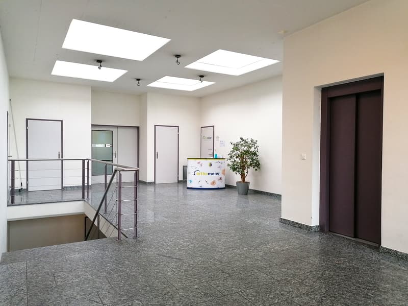 The entrance hall features an open layout with a staircase, two doors, and several lamps mounted on the ceiling. The walls are white, and the floor is gray with a clean appearance. A potted plant is on the right side, and a small counter desk is in the mi