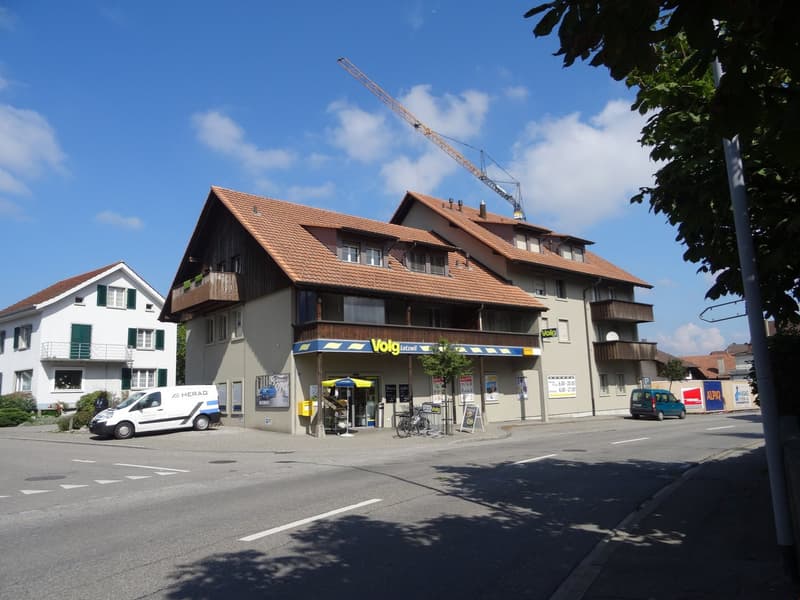 Modern wohnen an zentraler Lage – komplett sanierte 4.5-Zimmerwohnung (10)