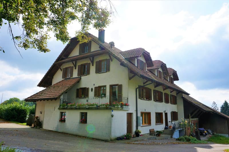 Grosszügige Wohnung mit wunderschönem Balkon (6)
