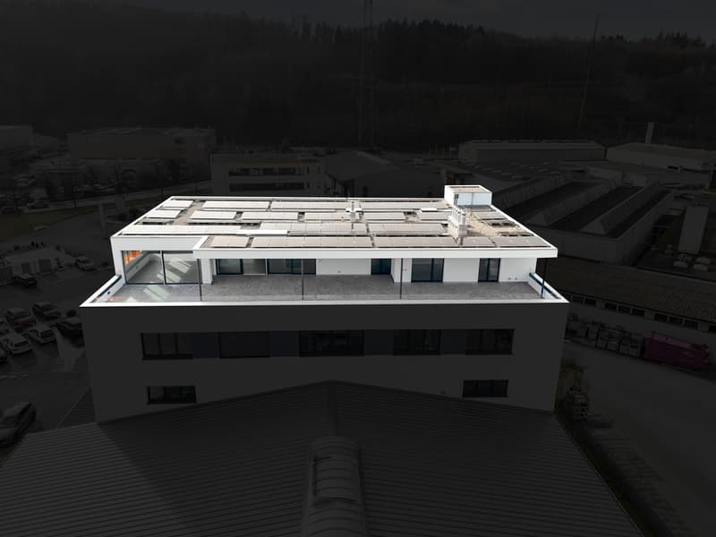 245 m² für Business & Lifestyle – Attika in Bremgarten (31)