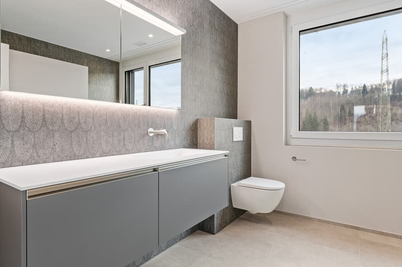 245 m² für Business & Lifestyle – Attika in Bremgarten (22)