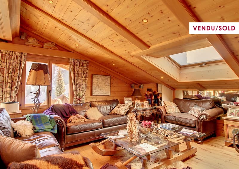 Charmant appartement avec mezzanine et vue montagne (1)