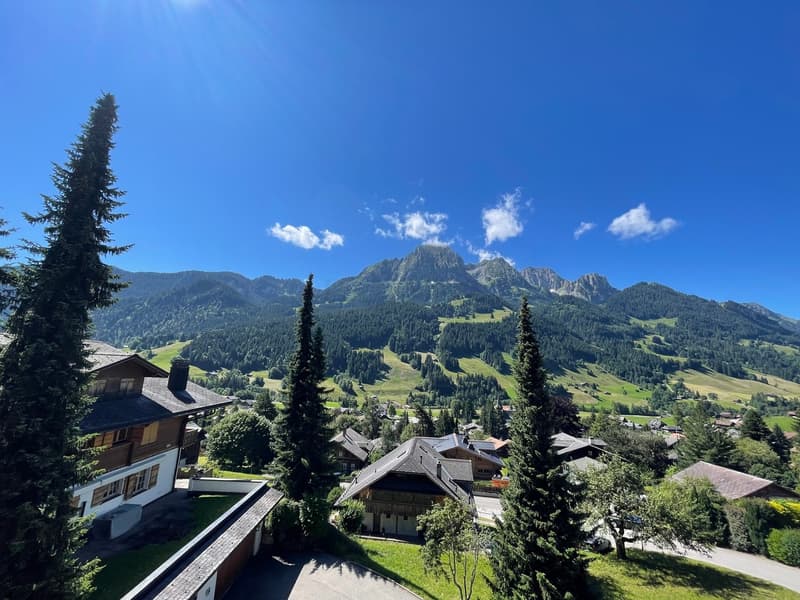 Eté (vue depuis le balcon) / Sommer (Blick vom Balkon) / Summer (balcony view)