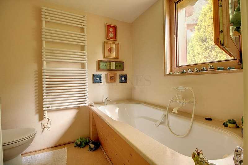 Appartement aux combles sur les hauteurs (5)