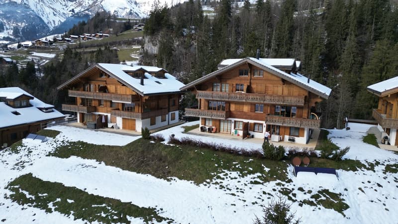 Duplex idyllique avec vue époustouflante (8)
