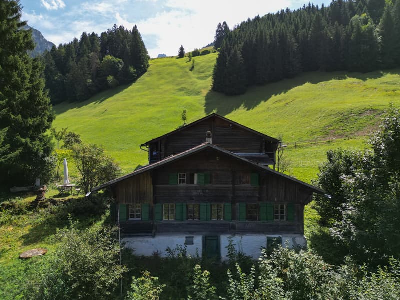 Ancienne ferme du XVIII siècle à rénover (2)