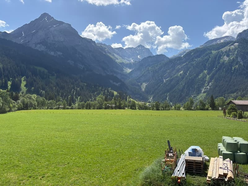Vue Sud / Blick nach Süden / South-Facing View
