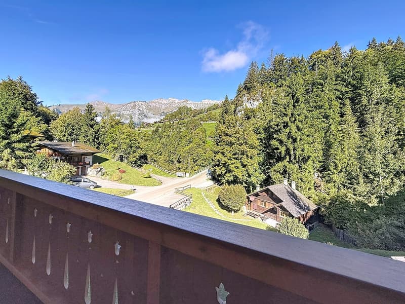 Appartement d'exception dans un chalet de standing (9)