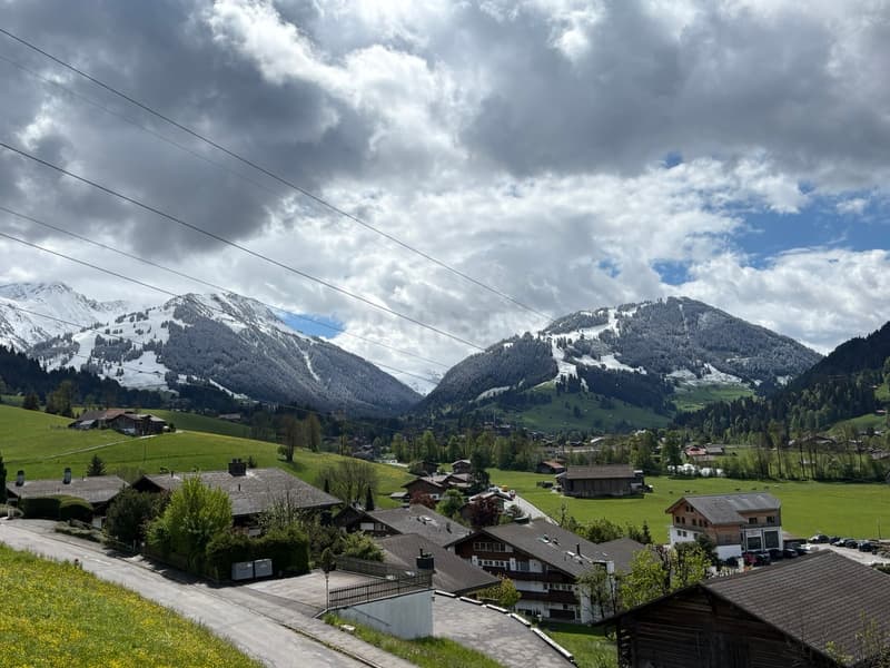 Saanen - Penthouse moderne (10)