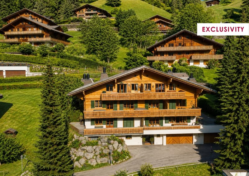 Charmant appartement moderne avec vue montagne (1)
